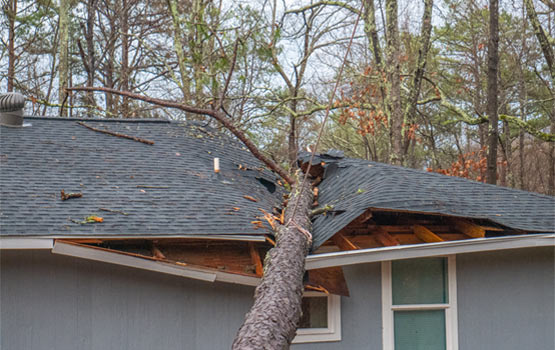 storm damage tree on house roof