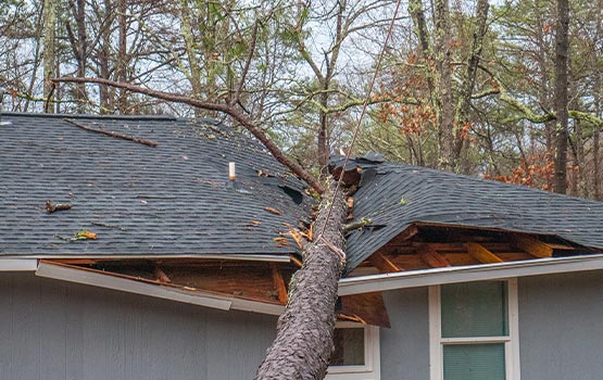Roof damaged by fallen tree