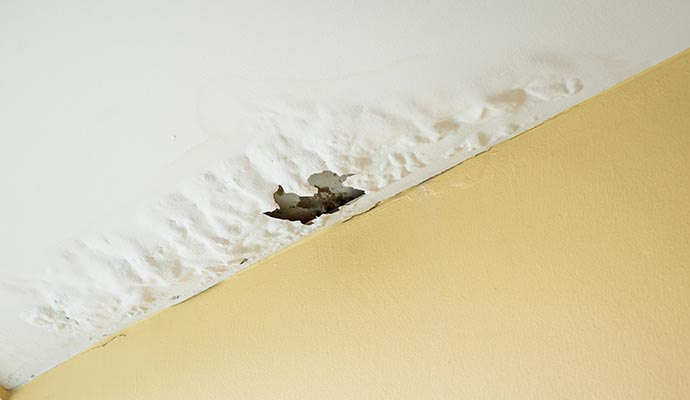 Water Damage Restoration from Roof Leaks | Baton Rouge, LA